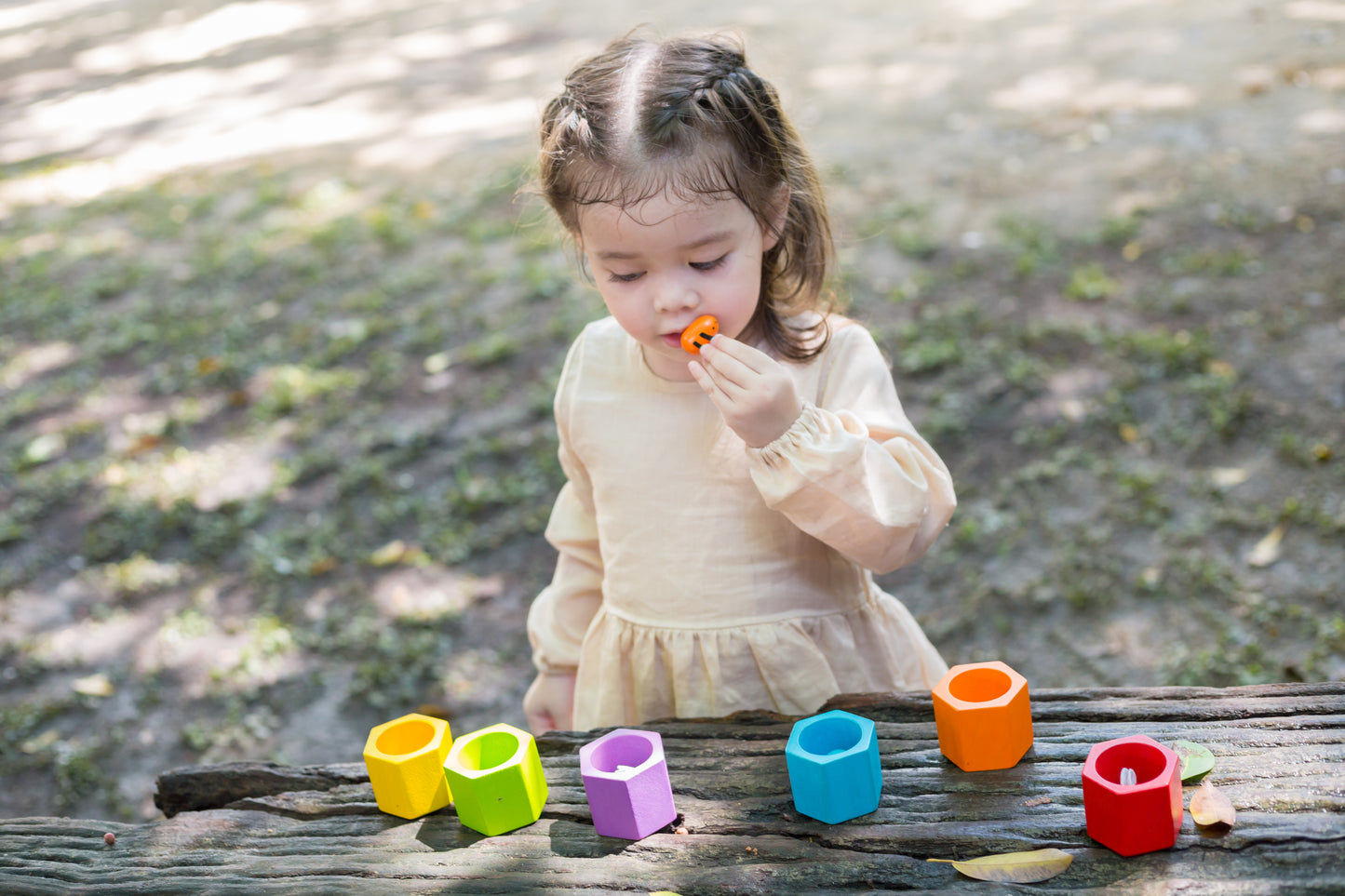 PlanToys - Bijenkorf - Beehives