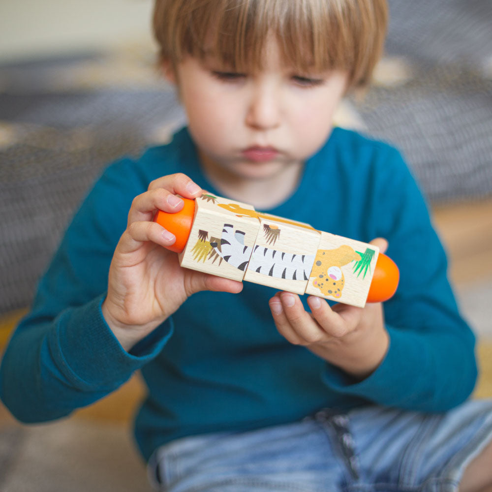 Bigjigs - Twist Blokken