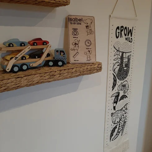 Muizenkindjes - Houten muizen geboortebord - gepersonaliseerd