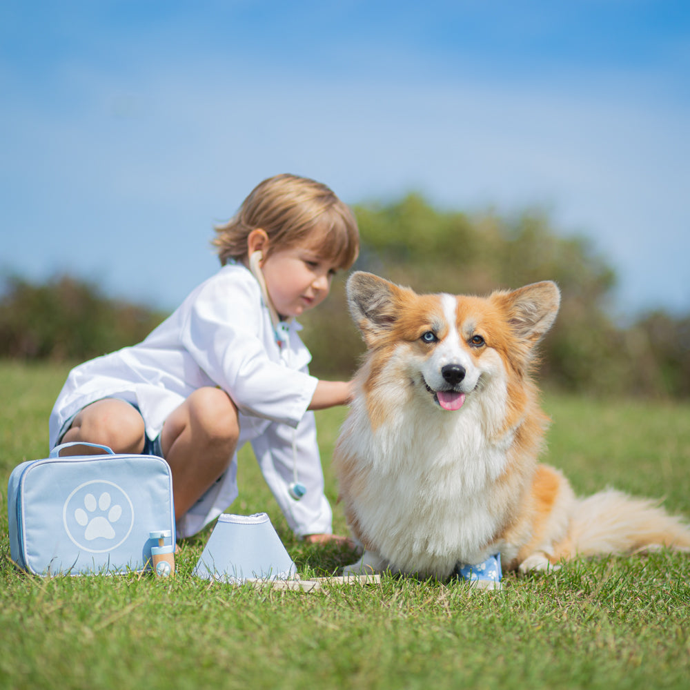 Bigjigs - Veterinary Set