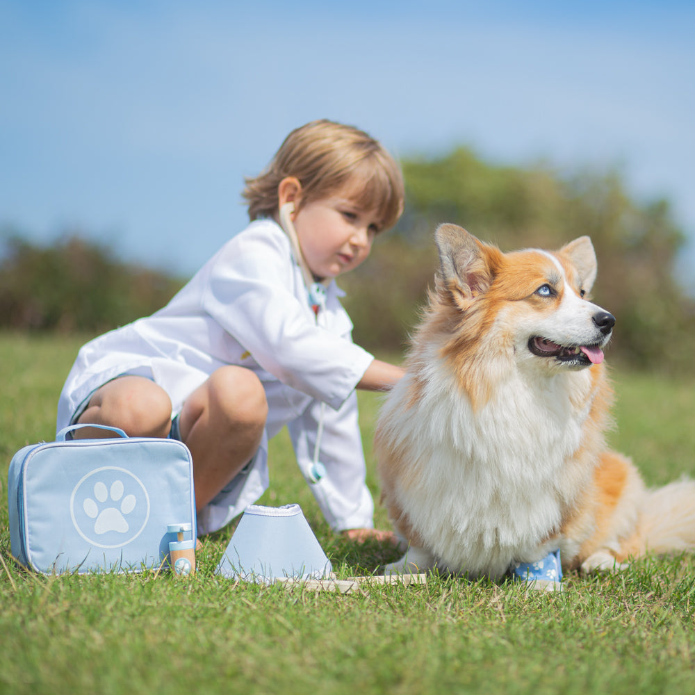 Bigjigs - Veterinary Set