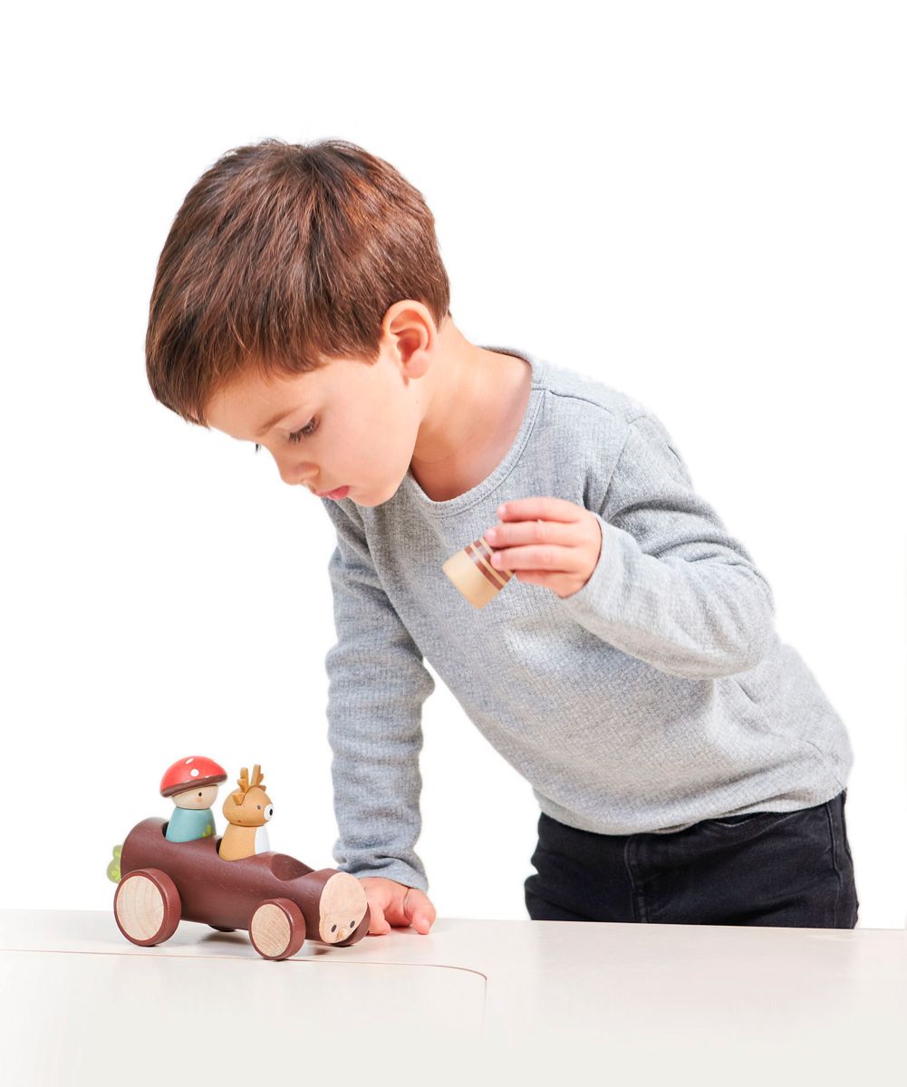 Tender Leaf Toys - Taxi bosdieren