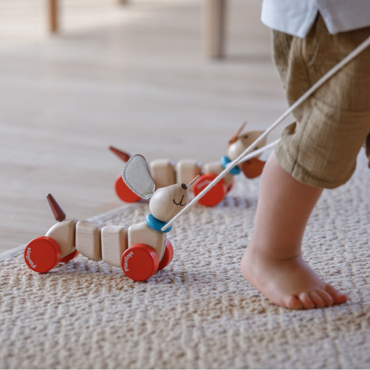 PlanToys