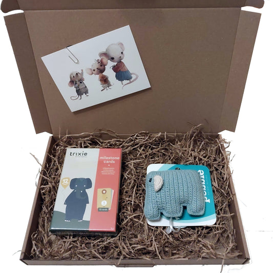 Muizenkindjes - Brievenbuspakket - Blauw