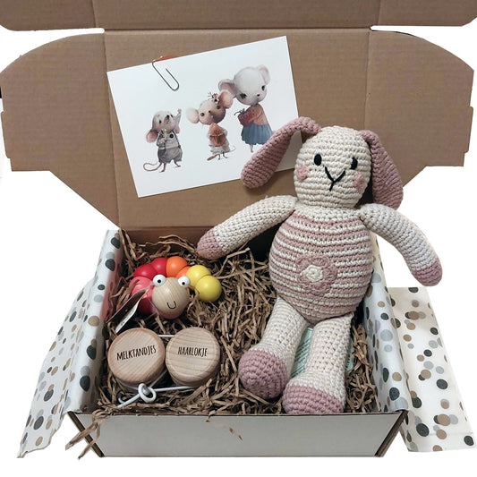 Muizenkindjes - Cadeaupakket - Mini meisje