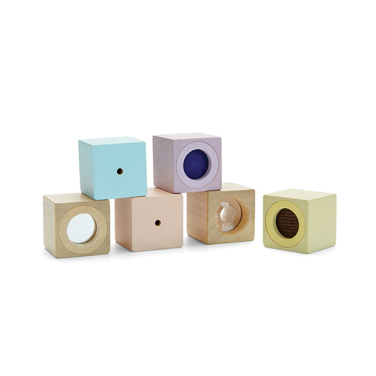 PlanToys - Sensory Blokken