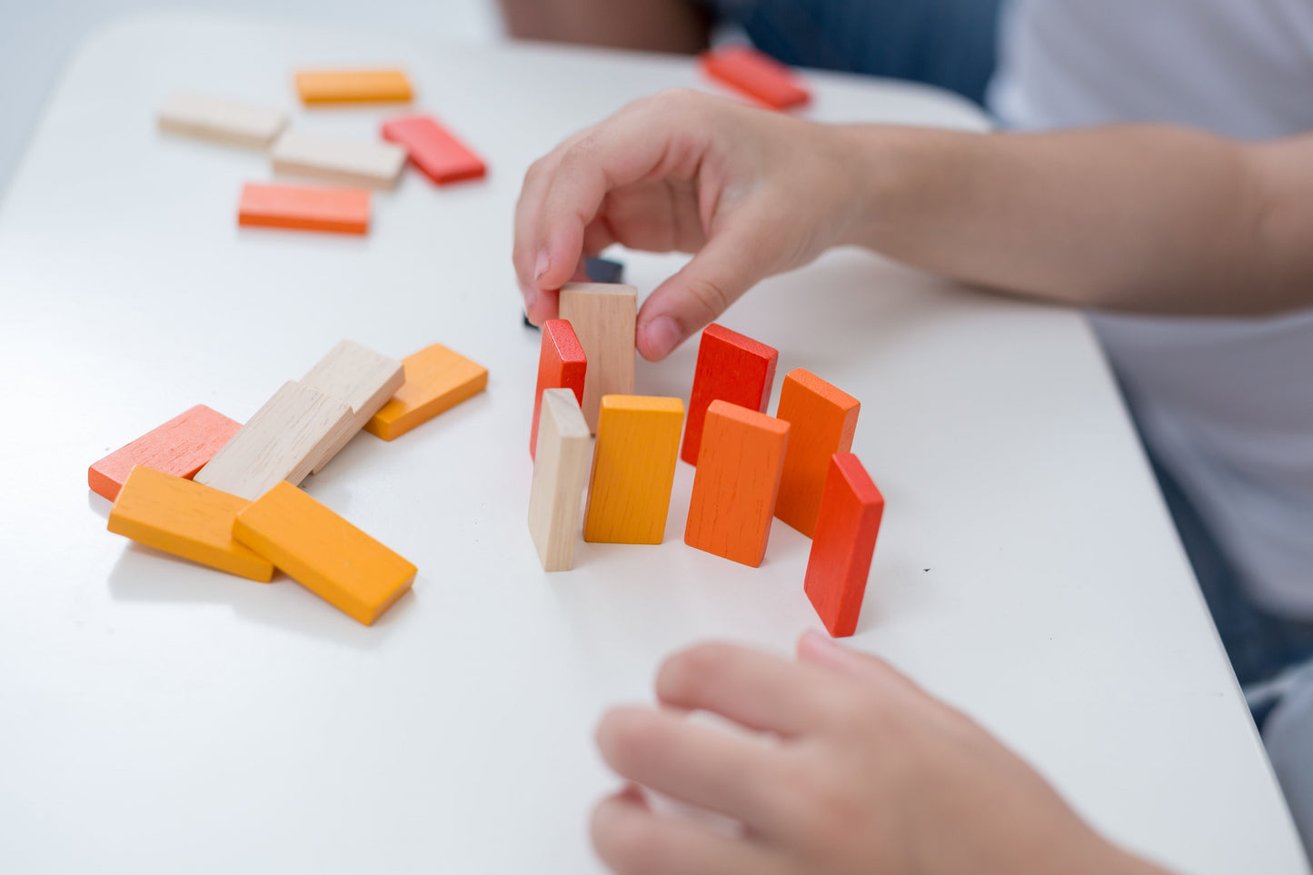 PlanToys - Domino
