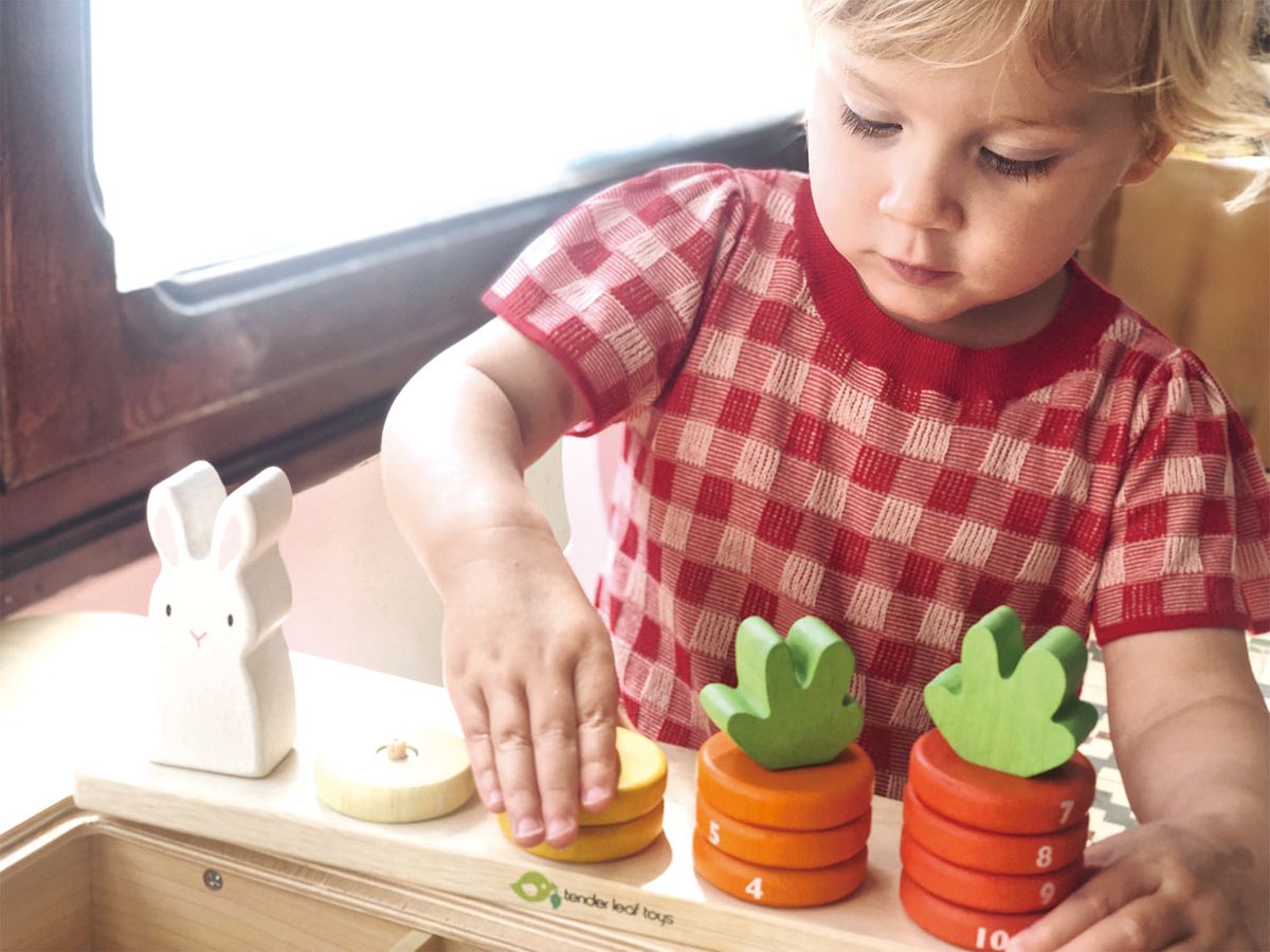 Tender Leaf Toys - Worteltjes tellen