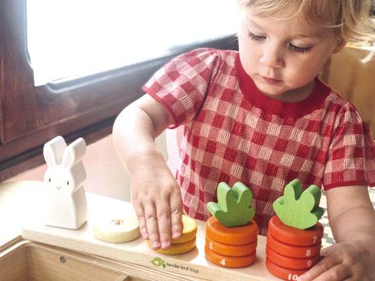 Tender Leaf Toys - Worteltjes tellen