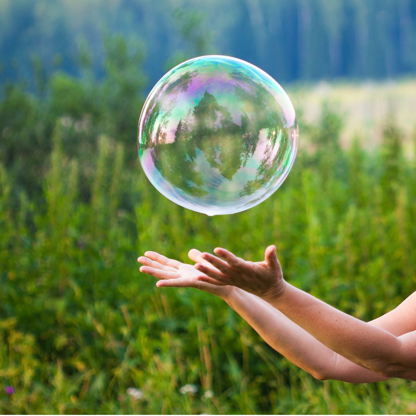 Bubblelab - Basis Edition