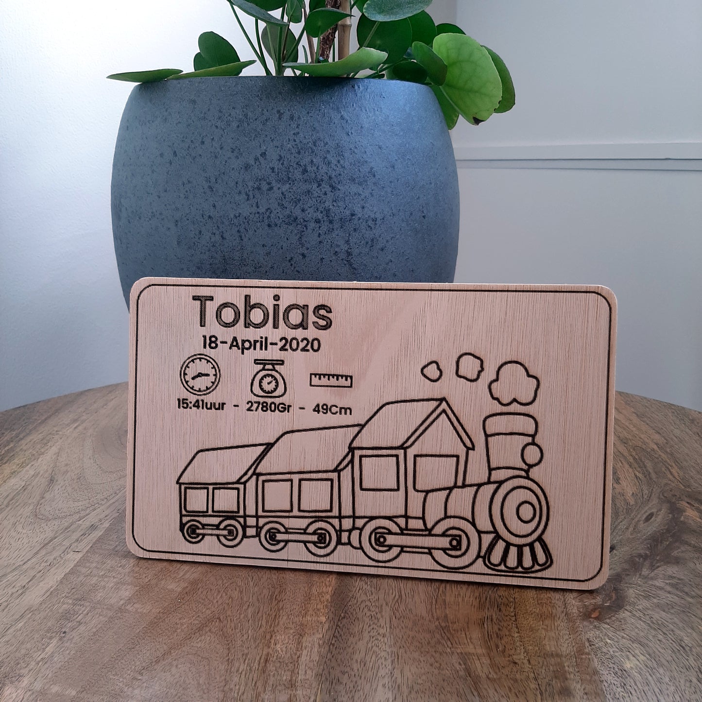 Muizenkindjes - Houten geboortebord Trein - gepersonaliseerd