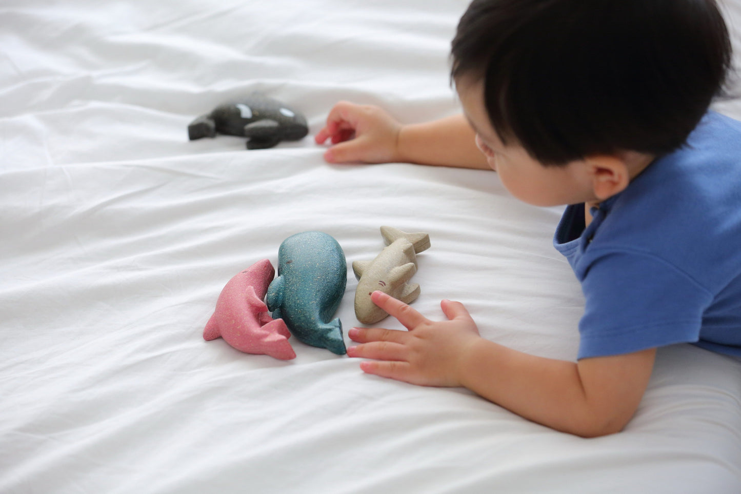 PlanToys - Sea Life Set