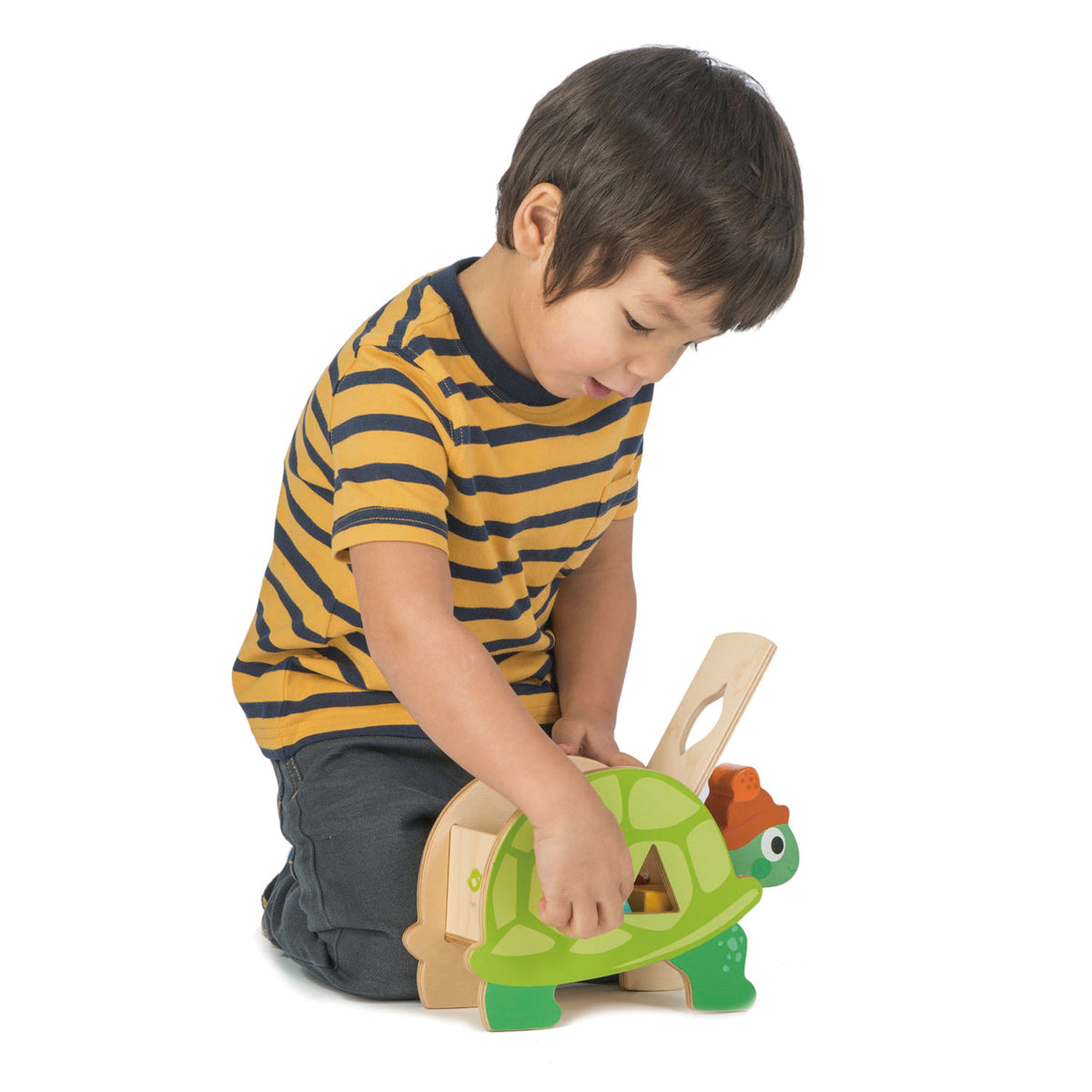 Tender Leaf Toys - Tortoise Shape Sorter