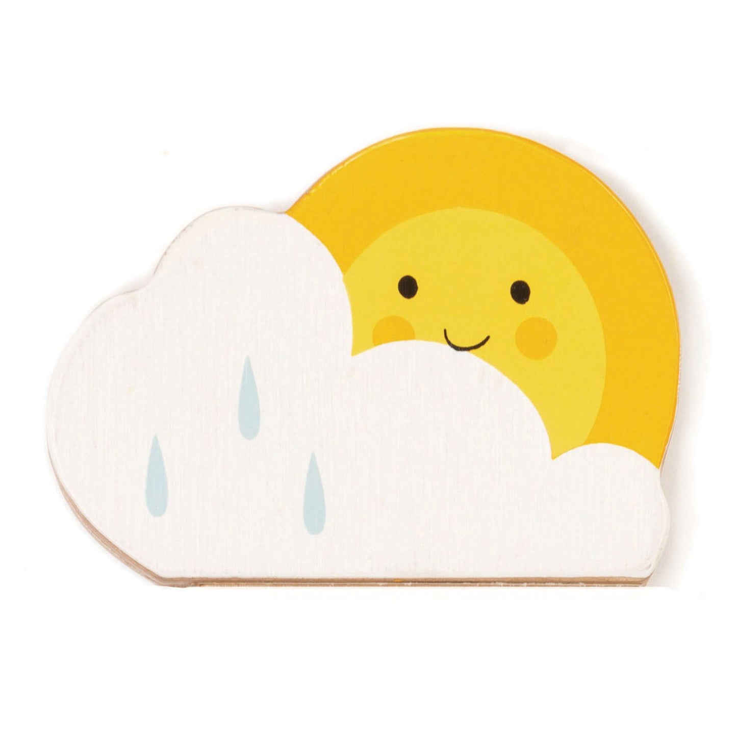 Tender Leaf Toys - Rainmaker