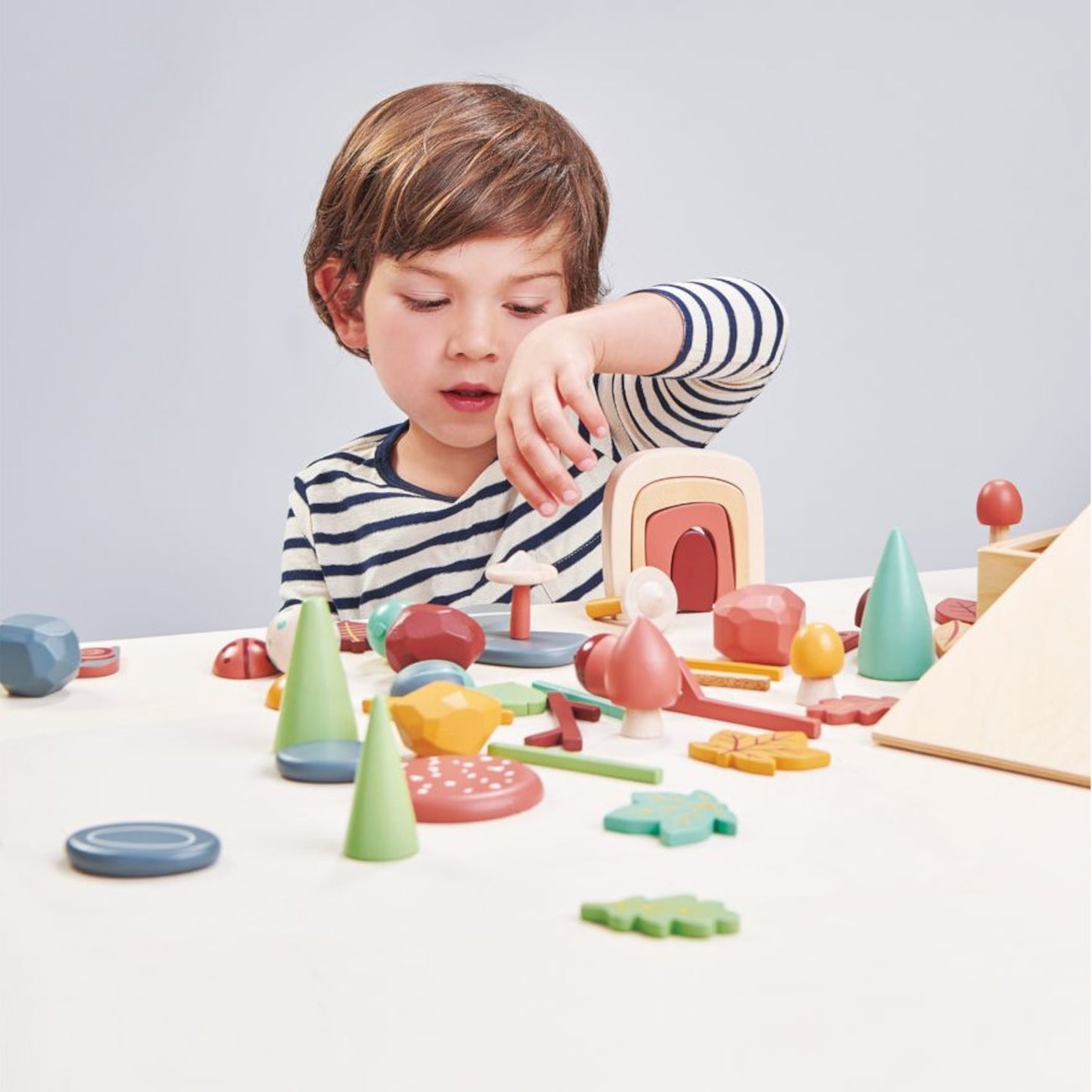 Tender Leaf Toys - My Forest Floor
